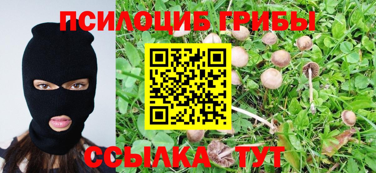 Псилоцибиновые грибы MAGIC MUSHROOMS  Псилоцибиновые грибы Psilocybine cubensis  Вход с VPN  Ярославль 