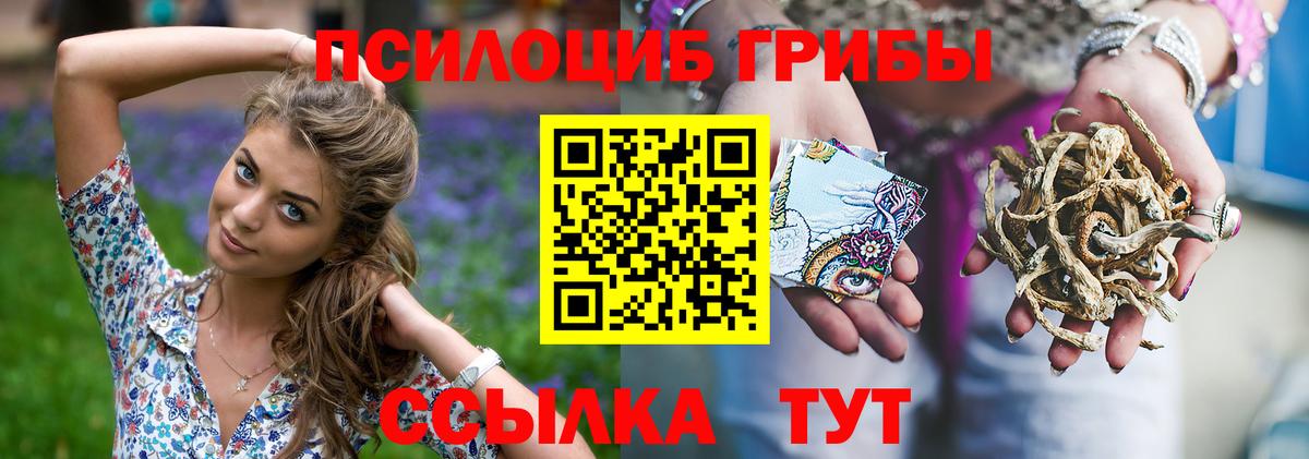 Галлюциногенные грибы MAGIC MUSHROOMS Ярославль